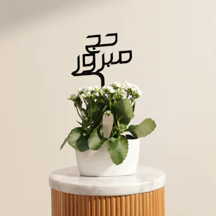 Charming Hajj White Kalanchoe Plant