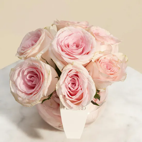 Gentle Pink Roses Vase