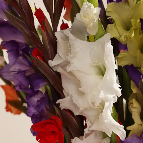 Mixed Color Gladiolus Vase