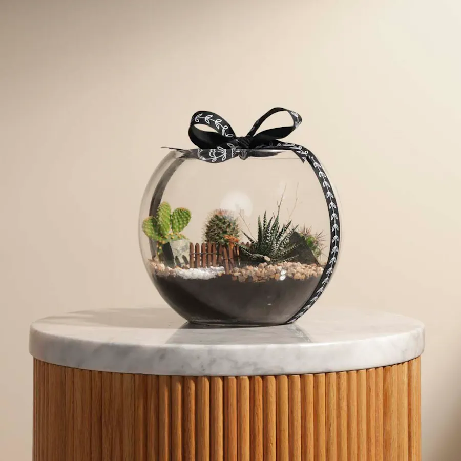 Delightful Mini Desert | Open Terrarium  6