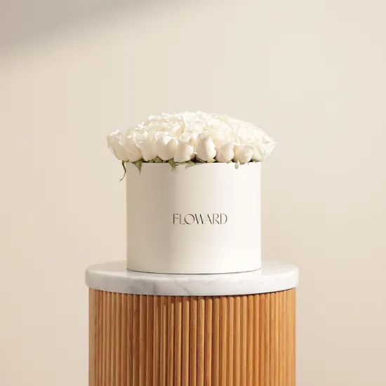 Ray of Hope White Roses Box | 55 Flowers