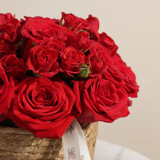 Ruby Reverie Roses Vase