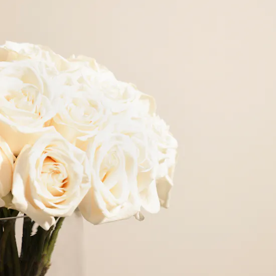 Vibrant White Roses Vase | 50 Roses