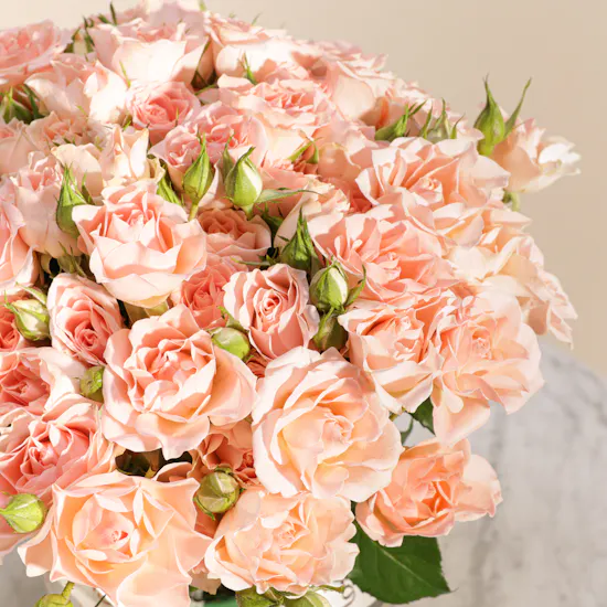 Blush Elegance Baby Roses Vase