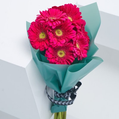 10 Gerbera | Hand Bouquet