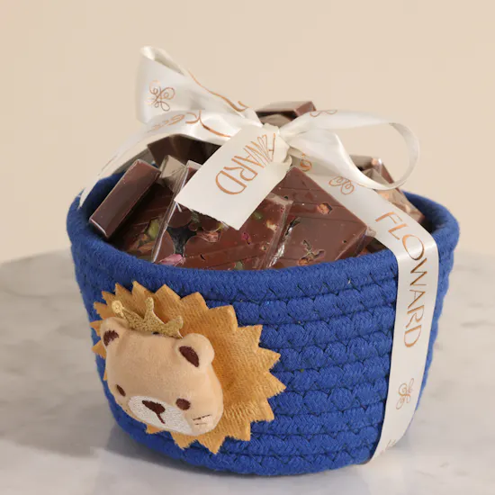 Floward Cute Chocolate Hamper | 20 Pieces