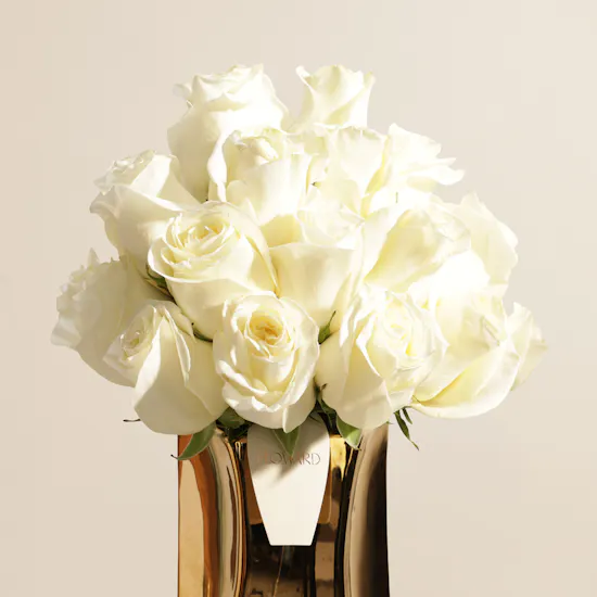 Golden Glow White Rose Vase