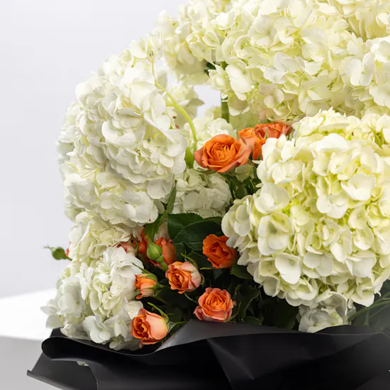 Paradox in Flowers