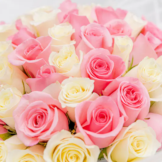 Majestic Petal Delight Bouquet 70 roses
