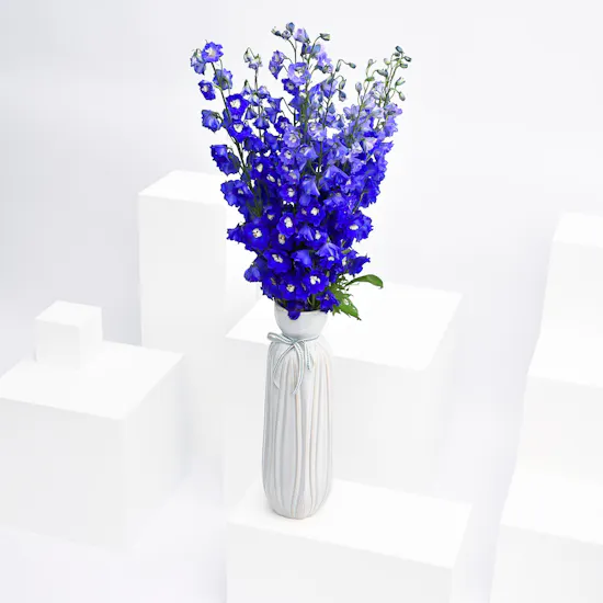 Delphiniums Vase