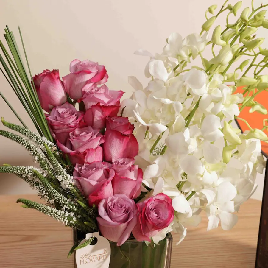 Jazean Tallan Mountain Coffee | Delight Blooms 2