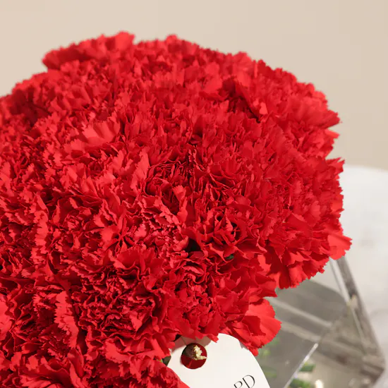 Romantic Red Carnations Vase