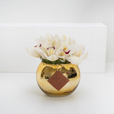 Cymbidium In a Vase