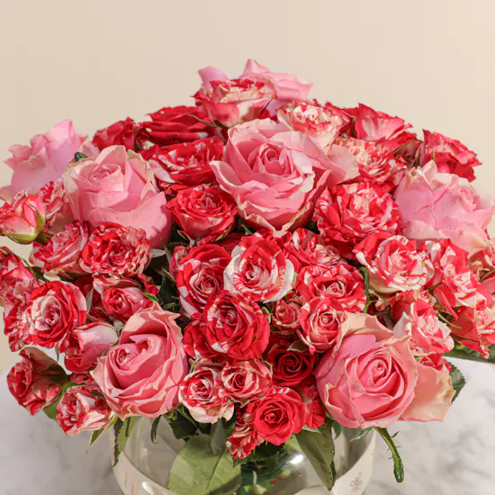 Mother Radiant Roses Vase