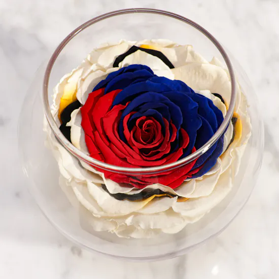 Radiant Preserved Rose Vase