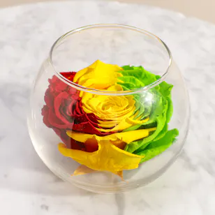Symbol of Eternal Joy Preserved Rose Vase