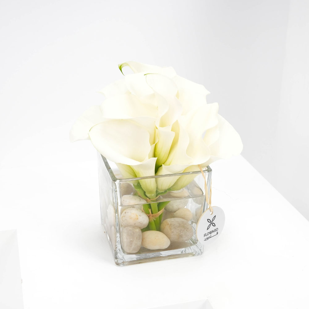 مزهريه النقاء الحالم