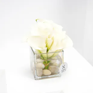 The Purity Vase