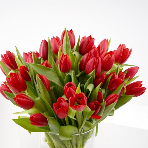 Large Red Tulips Cylinder Vase Enta Omry Floward Abu Dhabi