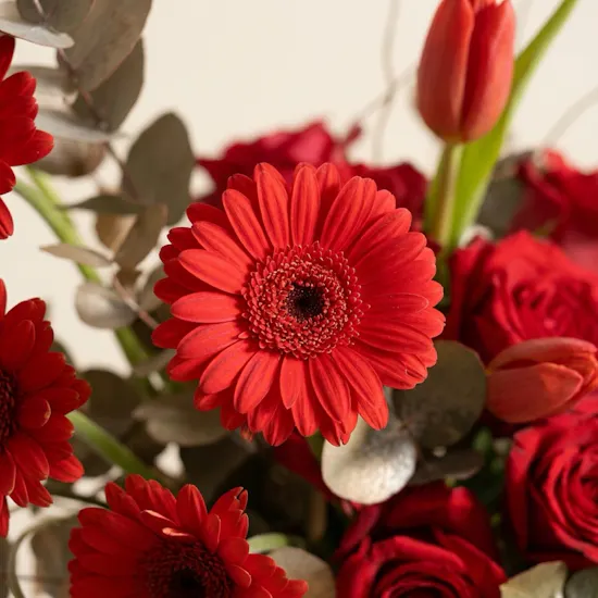 Quiet Red Enchantment Flower Vase