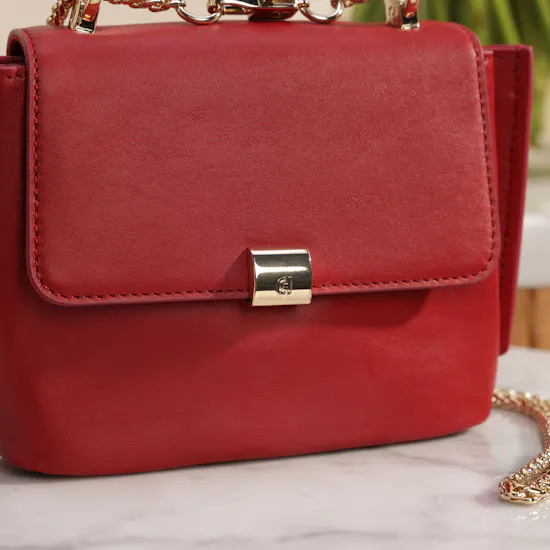 Cole Haan Elegant Bag | Stunning Flowers Vase