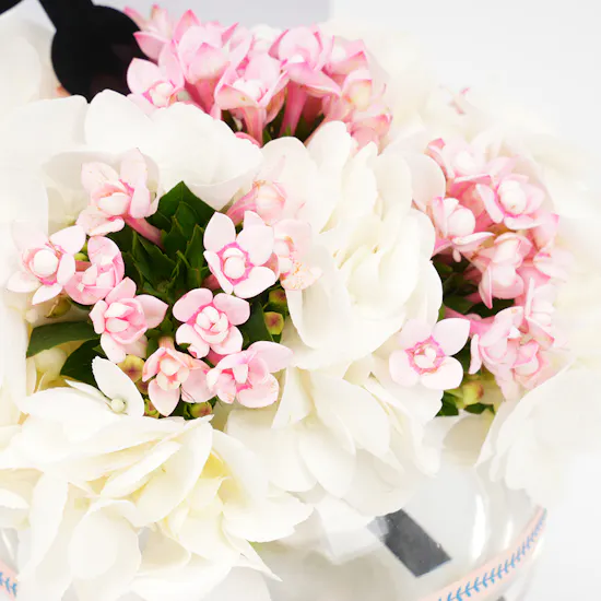 Get Well Soon Wishes | Glass Vase