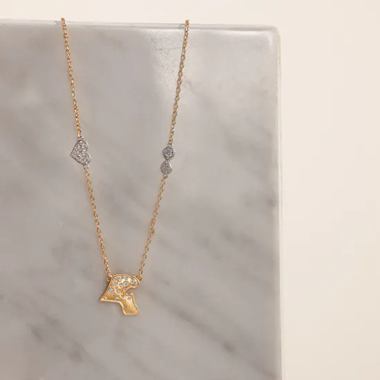 Velvet Desert Kuwait Map Outline Charm Gold Plated Necklace