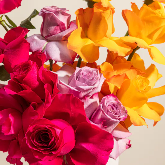 Bright Whispers Roses Box