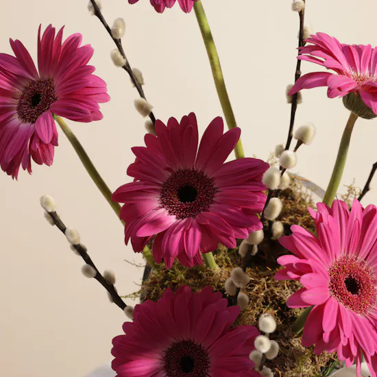 Fuchsia Gerbera Garden Flower Vase