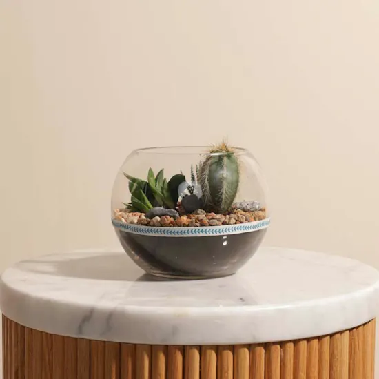 Cactus Open Terrarium Bowl