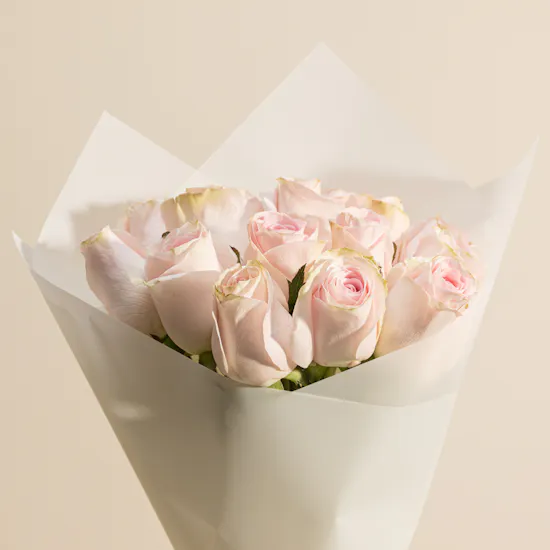 Magic in Bloom Pink Roses Vase | 15 Flowers
