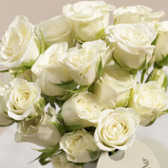 White Whisper Baby Roses Vase
