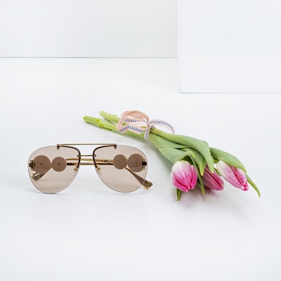 Versace ROCK ICONS Sunglasses | VE2250