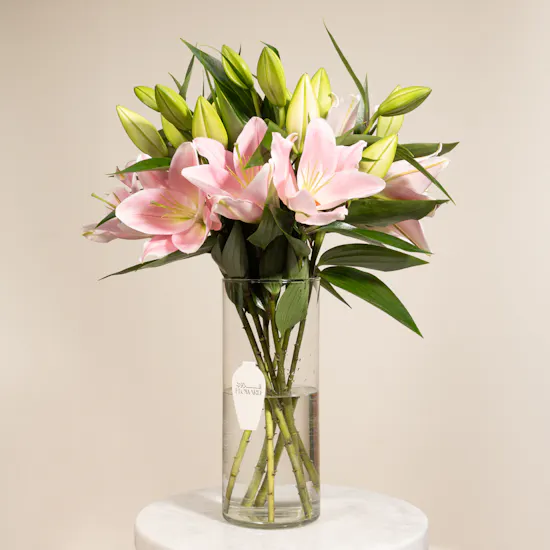 Pinky | 7 Lilies Vase