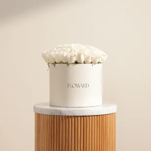 Ray of Hope White Roses Box | 55 Flowers