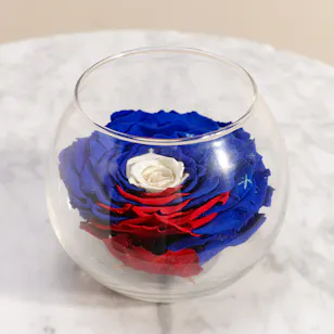 Preserved Blue and Red Rose with White Center Preserved Blue and Red Rose with White Center