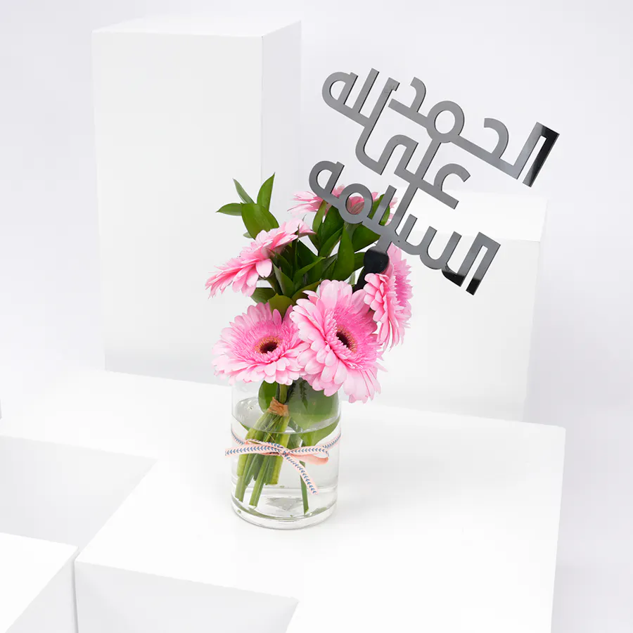 Get Well Soon | Pink Gerbera 5