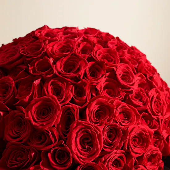 Eternal Love Bouquet | 150 Roses