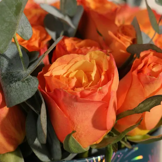 Cheerful Orange Rose Box | 23 Flowers