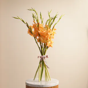 Bright Gladiolus Bouquet