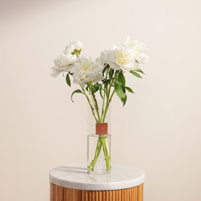 فازة زهور فاوانيا بيضاء