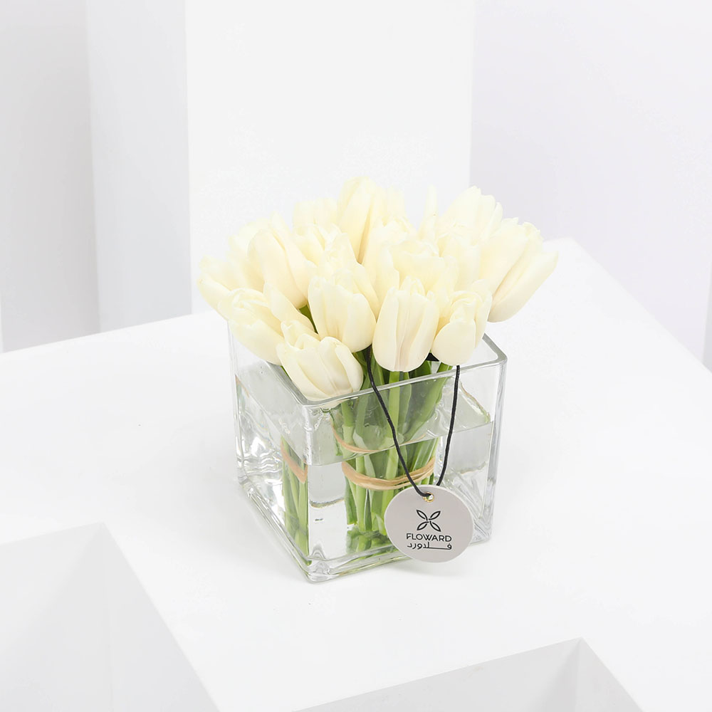 20 توليب أبيض في مزهرية مربعه