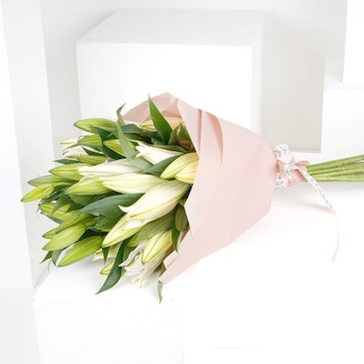  15 Lilies | Pink Wrap
