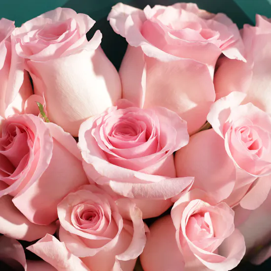 Joyous Hands Spa Gift Voucher | Light Flower Bouquet
