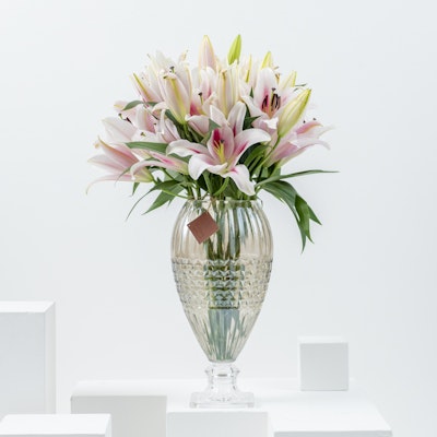 Pink Sapphire | Glass Vase