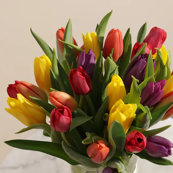 Elegant Tulip Vase