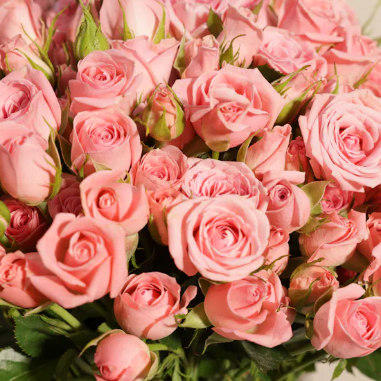 Pink Baby Roses Vase | 50 Flowers