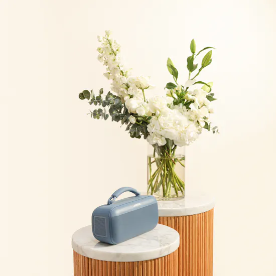 Bose SoundLink Max Portable Blue Speaker | Harmony Vase