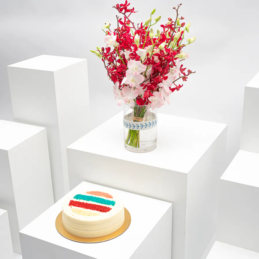 Munch Bakery Dream Cake | Orchid Vase 5