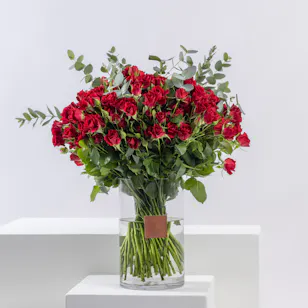 50 Red Baby Roses | Cylinder Vase 50 Red Baby Roses | Cylinder Vase